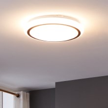 Eglo - LED Stropna svetilka LED/14,6W/230V