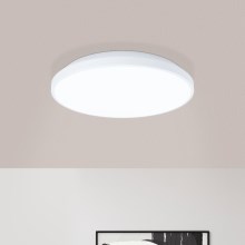 Eglo - LED Stropna svetilka LED/16W/230V