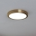 Eglo - LED Stropna svetilka LED/17W/230V pr. 21 cm