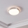 Eglo - LED stropna svetilka LED/18W/230V