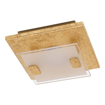 Eglo - LED Stropna svetilka LED/2,5W/230V