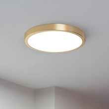 Eglo - LED Stropna svetilka LED/20,5W/230V pr. 28,5 cm