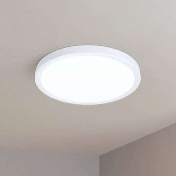 Eglo - LED Stropna svetilka LED/20W/230V