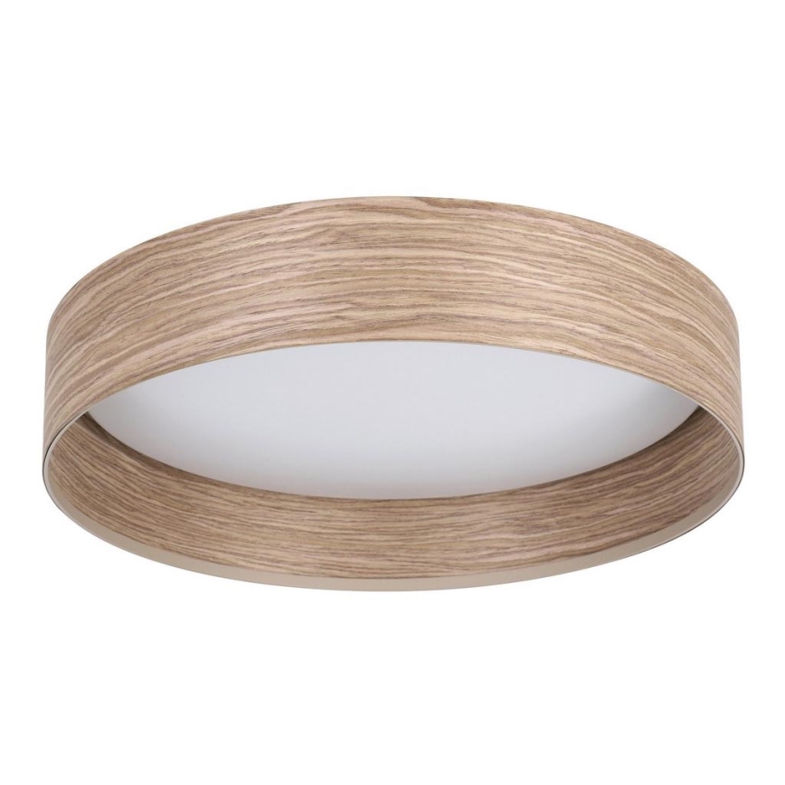 Eglo - LED Stropna svetilka LED/24W/230V