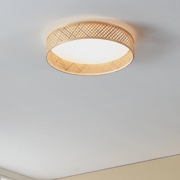 Eglo - LED Stropna svetilka LED/24W/230V