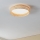 Eglo - LED Stropna svetilka LED/24W/230V