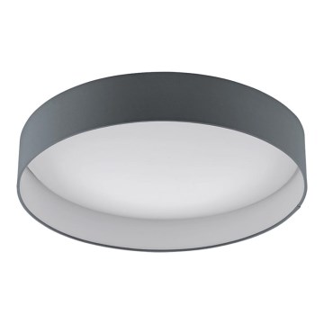 Eglo - LED stropna svetilka LED/24W/230V