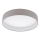 Eglo - LED Stropna svetilka LED/24W/230V