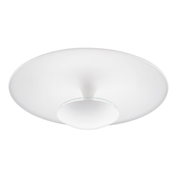 Eglo - LED stropna svetilka LED/24W/230V