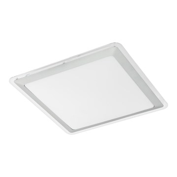 Eglo - LED stropna svetilka LED/24W/230V