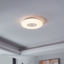 Eglo - LED stropna svetilka LED/24W/230V
