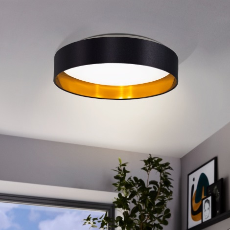 Eglo - LED Stropna svetilka LED/24W/230V