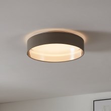 Eglo - LED Stropna svetilka LED/24W/230V