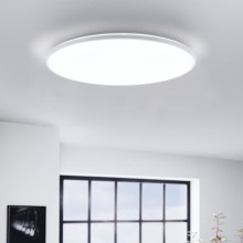 Eglo - LED Stropna svetilka LED/29W/230V pr. 50 cm