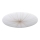 Eglo - LED Stropna svetilka LED/30,8W/230V