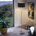 Eglo - LED Talna svetilka TUNJA 1xE27/60W/230V mat krom/črna