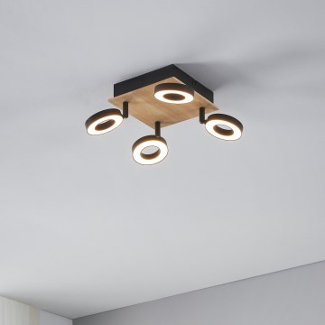 Eglo - LED točkovna svetilka 4xLED/4,2W/230V črna/rjava