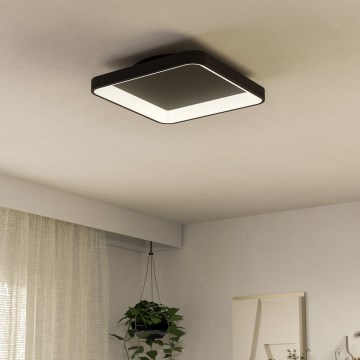 Eglo - LED Zatemnitvena stropna svetilka LED/12W/230V 2700-6500K črna + Daljinski upravljalnik