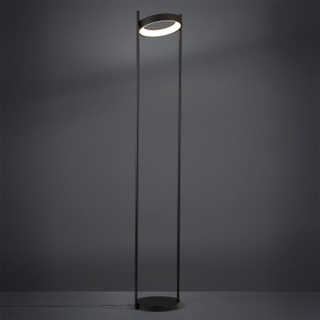 Eglo - LED Zatemnitvena talna svetilka LED/20W/230V 3000K črna