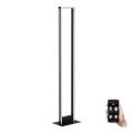 Eglo - LED Zatemnitvena talna svetilka LED/33W/230V 2700-6500K