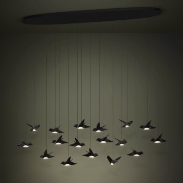 Eglo - LED Zatemnitveni lestenec na vrvici 17xLED/3W/230V 3000K črna