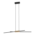 Eglo - LED Zatemnitveni lestenec na vrvici 2xLED/13W/230V