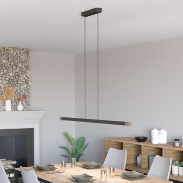 Eglo - LED Zatemnitveni lestenec na vrvici LED/22W/230V 3000K