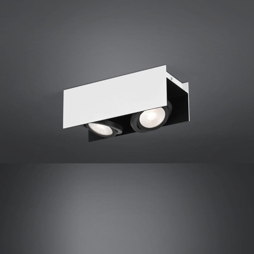 Eglo - LED Zatemnitveni reflektor 2xLED/5,4W/230V