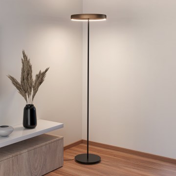 Eglo - LED zatemnjiva stoječa svetilka s senzorjem gibanja 2xLED/19W/230V 2200-6500K rjava