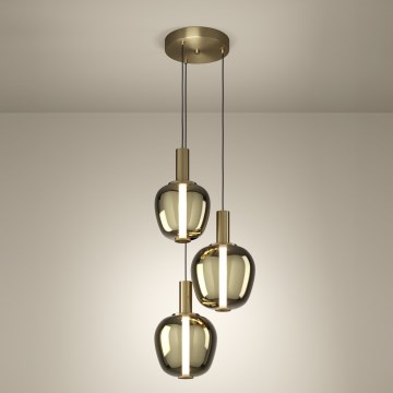 Eglo - LED zatemnljiv lestenec LED/5W/230V + 2xLED/6,5W + 3xLED/1,6W v zlati barvi