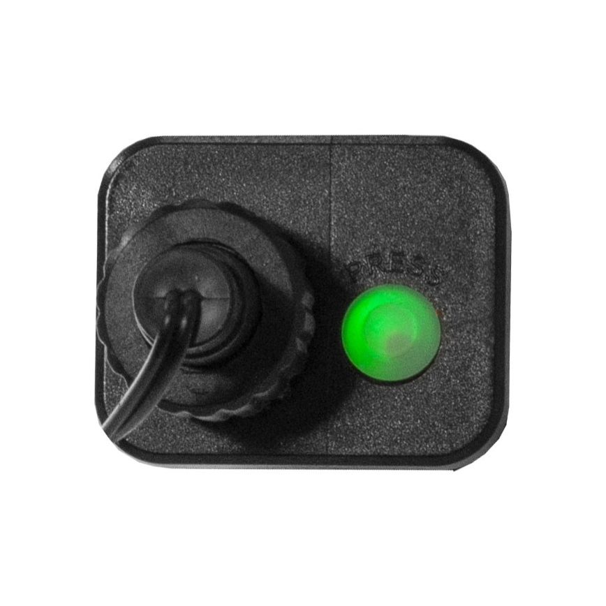 Eglo - LED Zunanja božična veriga 300xLED/8 funkcij 11m IP44 multicolor