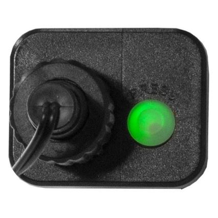 Eglo 472-53 - LED Zunanja božična veriga BERRY MINI 700xLED/8 funkcij 14m multicolor IP44