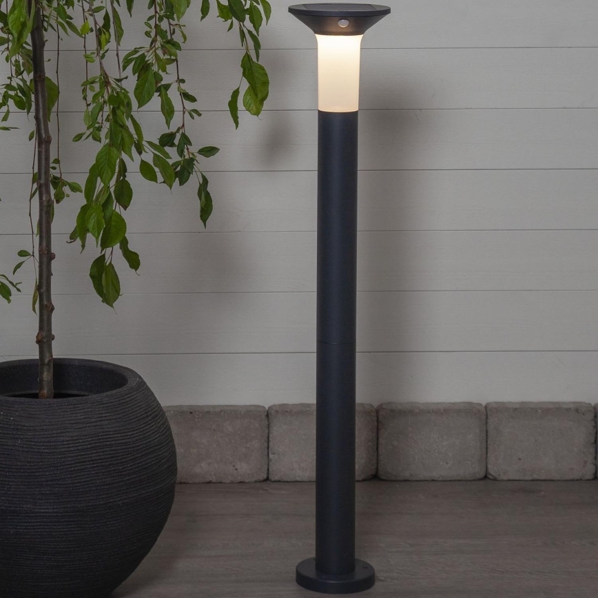 Eglo - LED Zunanja solarna svetilka s senzorjem 6xLED/0,03W/3,7V 1500 mAh IP44