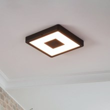 Eglo - LED Zunanja stropna svetilka LED/17W/230V IP44 črna