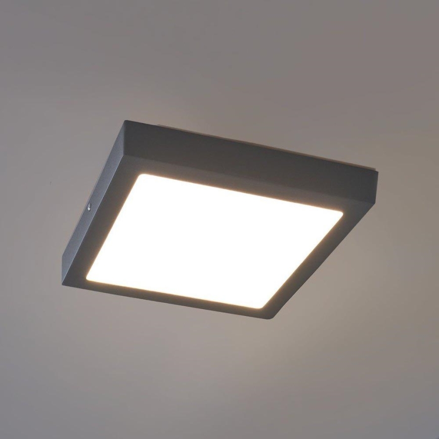 Eglo - LED Zunanja stropna svetilka LED/22W IP44