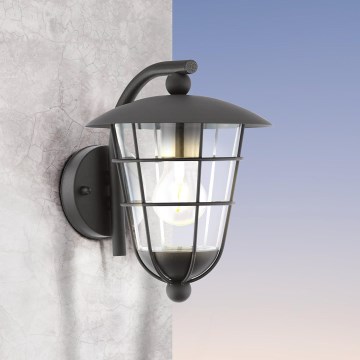 Eglo - LED Zunanja svetilka 1xE27/8,5W/230V IP44