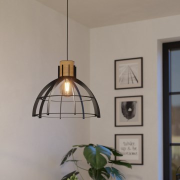 Eglo - Lestenec na vrvici 1xE27/40W/230V črna