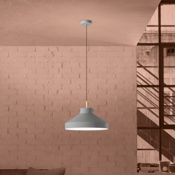 Eglo - Lestenec na vrvici 1xE27/40W/230V siva