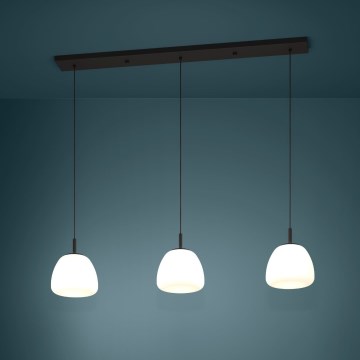 Eglo - Lestenec na vrvici 3xE27/40W/230V črna