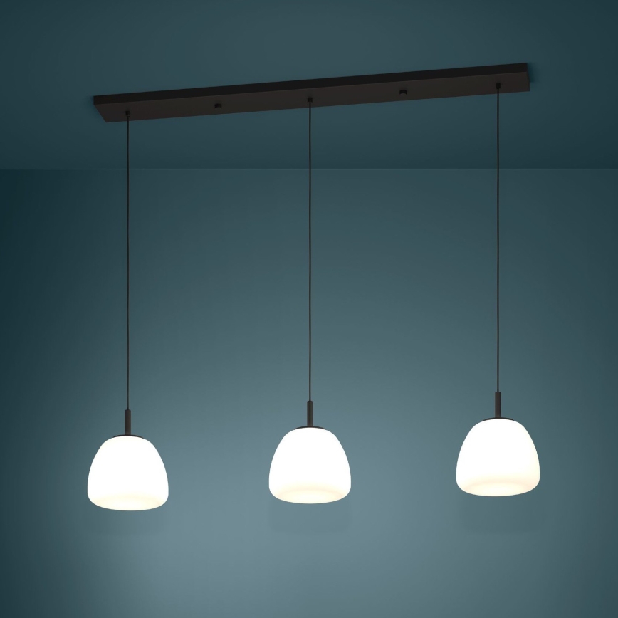 Eglo - Lestenec na vrvici 3xE27/40W/230V črna