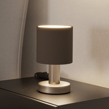 Eglo - Namizna svetilka 1xE14/40W/230V rjava/matni krom