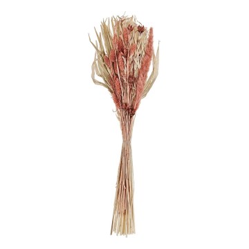 Eglo - Posušen cvet 60 cm oranžna