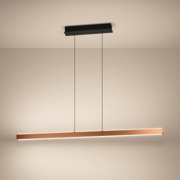 Eglo Stars of Light - LED zatemljiv lestenec na kablu LED/30W/230V 2200-6500K v zlati barvi + daljinski upravljalnik