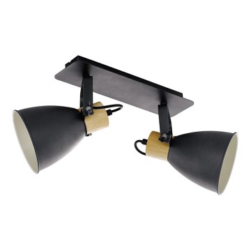 Eglo - Točkovna svetilka 2xE27/40W/230V