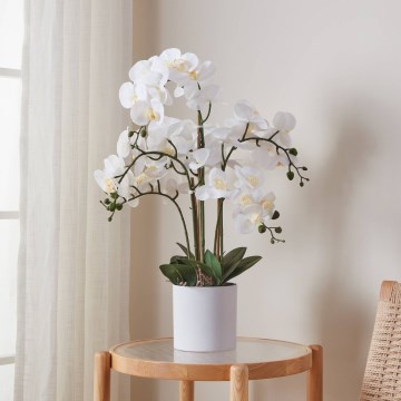 Eglo - Umetna rastlina v cvetličnem loncu 65x50 cm orchid