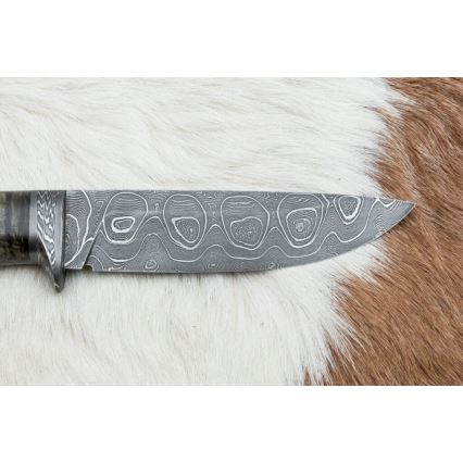 Ekskluziven nož iz damaščanskega jekla 12,7 cm javor/ahat