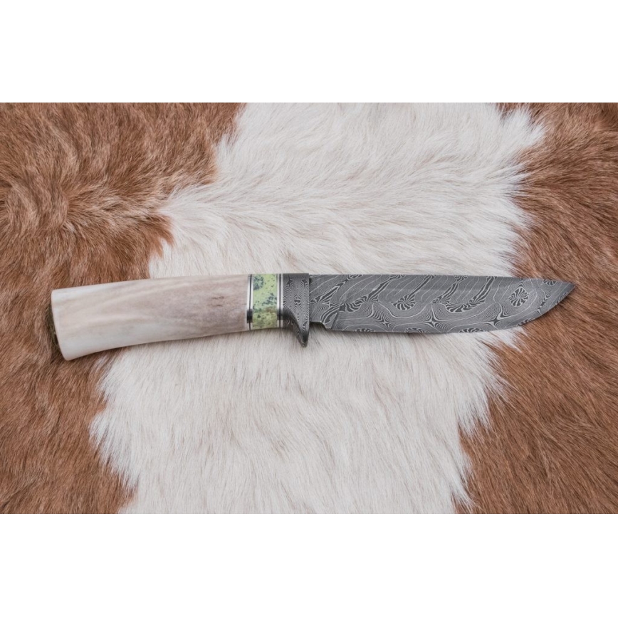 Ekskluziven nož iz damaščanskega jekla 13 cm serpentinite/rogovje severnega jelena