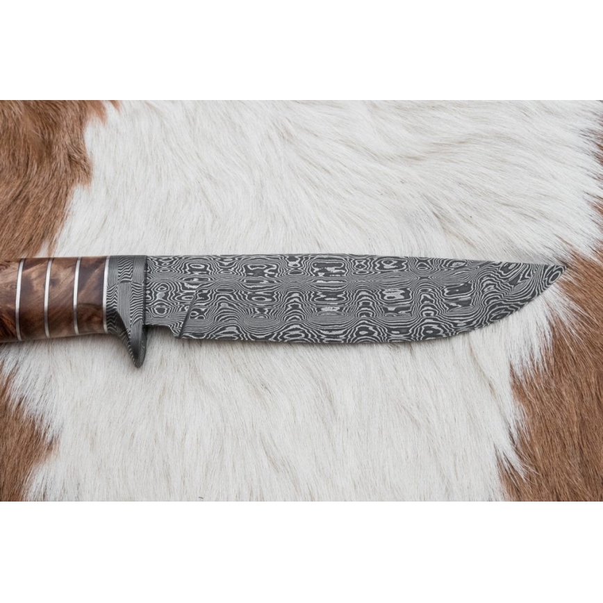 Ekskluziven nož iz damaščanskega jekla 14,4 cm kostanj/mamutov zob
