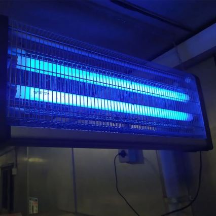 Električni lovilec žuželk 2x15W/230V 100m2