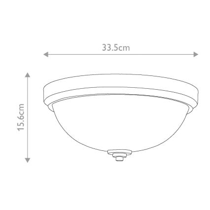 Elstead FE-MALIBU-F-BATH - Kopalniška stropna svetilka MALIBU 1xE27/60W/230V IP44